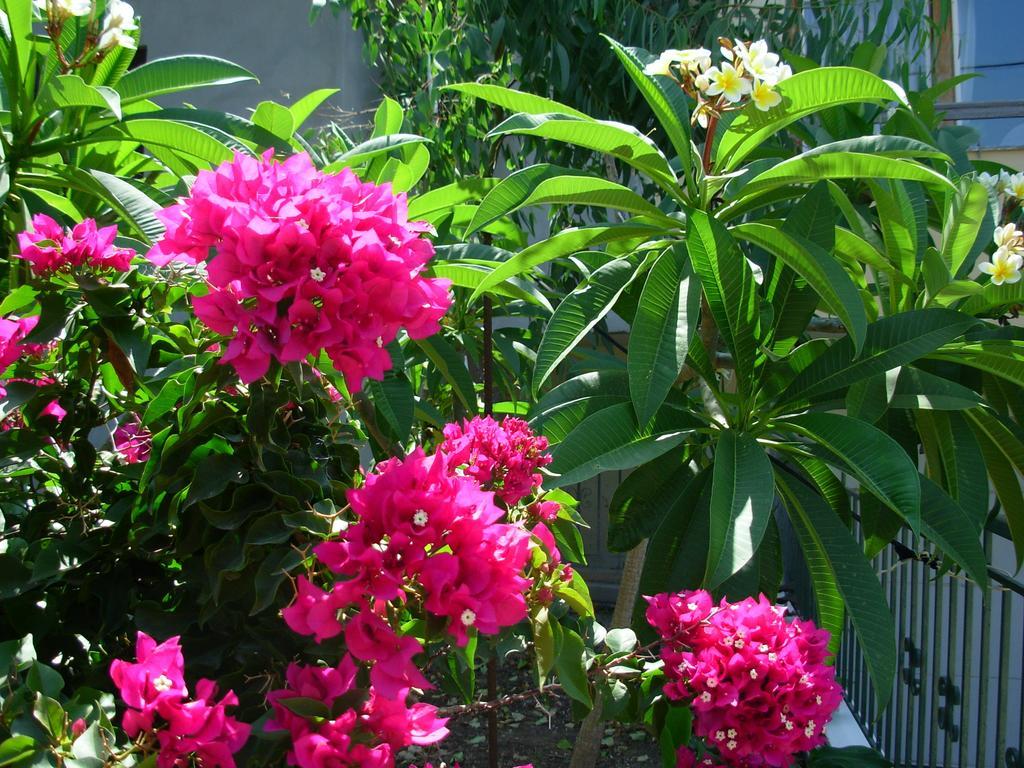 Callista Sea View Or Garden Kíssamos Стая снимка